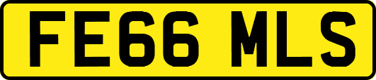 FE66MLS