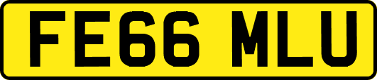 FE66MLU