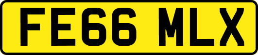 FE66MLX
