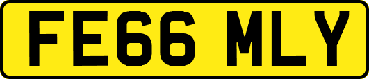 FE66MLY