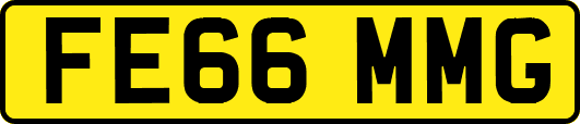 FE66MMG