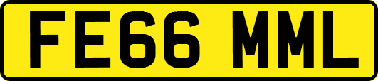 FE66MML