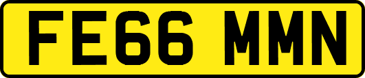 FE66MMN
