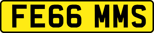 FE66MMS