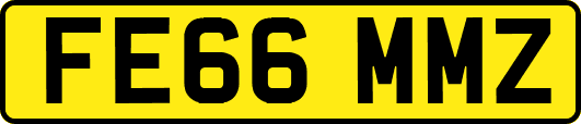 FE66MMZ