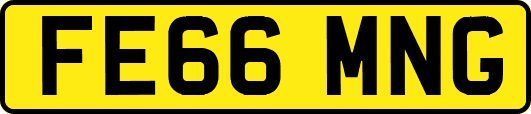 FE66MNG