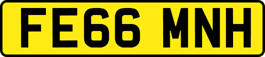 FE66MNH