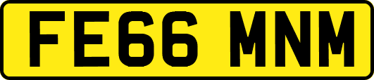 FE66MNM
