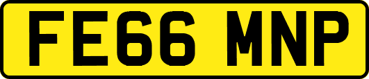 FE66MNP