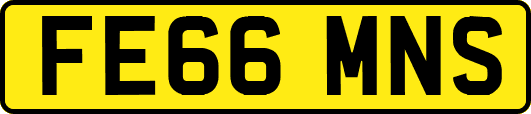 FE66MNS