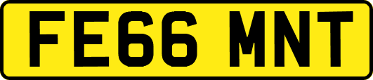 FE66MNT