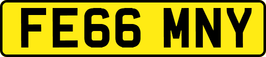 FE66MNY