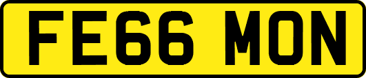FE66MON