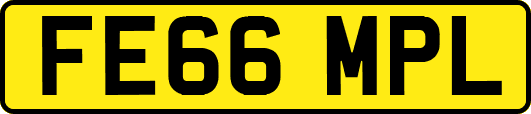 FE66MPL