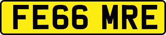 FE66MRE