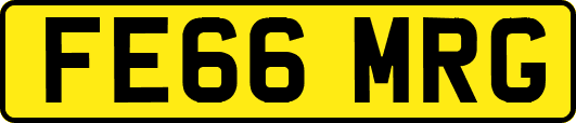 FE66MRG