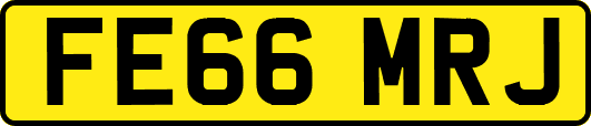 FE66MRJ