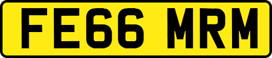 FE66MRM