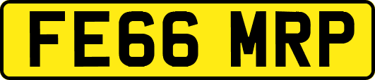 FE66MRP