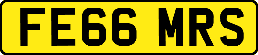 FE66MRS