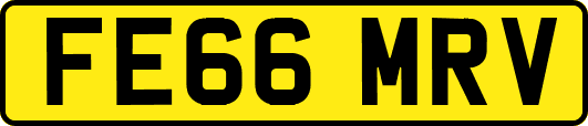 FE66MRV