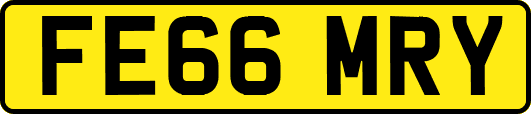 FE66MRY