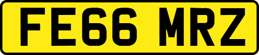 FE66MRZ