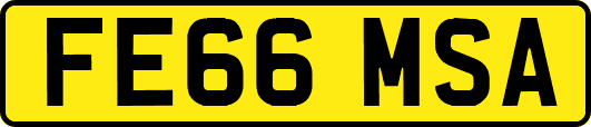 FE66MSA