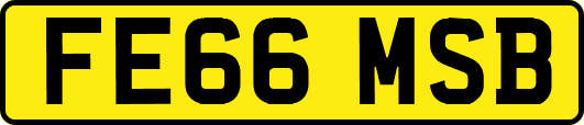 FE66MSB