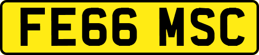 FE66MSC