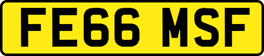 FE66MSF
