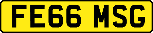 FE66MSG