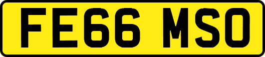 FE66MSO