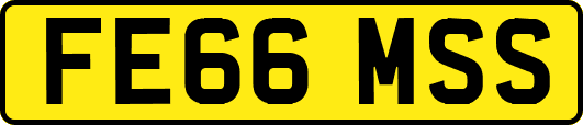 FE66MSS