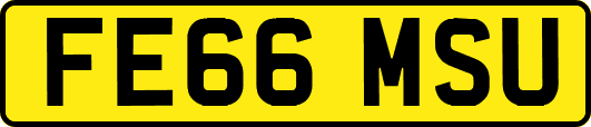 FE66MSU