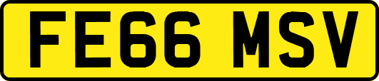 FE66MSV