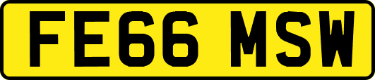 FE66MSW