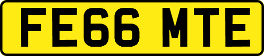 FE66MTE