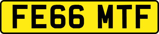 FE66MTF
