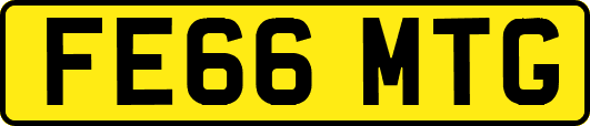 FE66MTG