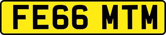 FE66MTM
