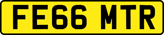 FE66MTR
