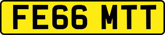 FE66MTT