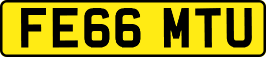 FE66MTU