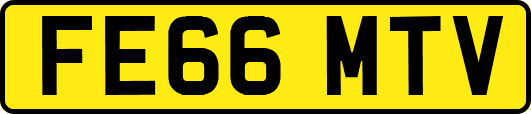 FE66MTV