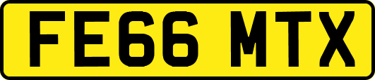 FE66MTX