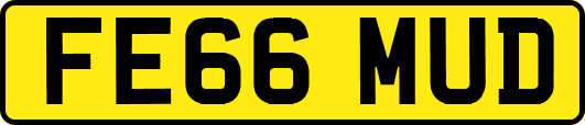 FE66MUD