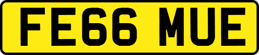 FE66MUE