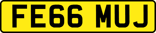 FE66MUJ