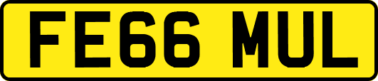 FE66MUL